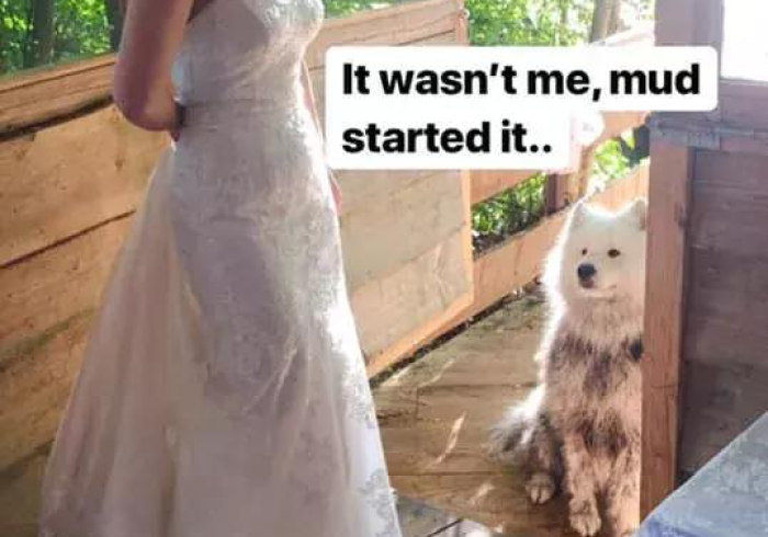 秒懂教程“微信怎么开斗牛房间链接”轻松获取房卡全渠道 秒懂教程“微信怎么开斗牛房间链接”轻松获取房卡全渠道