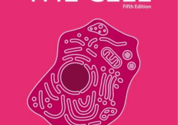 房卡全攻略“微信链接斗牛房卡怎么买”轻松获取房卡全渠道