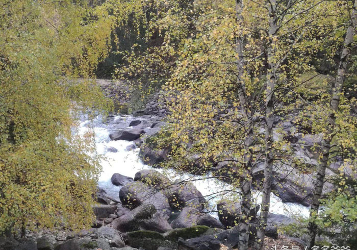 教 程 解 析 “ 黑 河 麻 将 有 什 么 猫 腻 吗 ” 附 开 挂 脚 本 教 程 解 析 “ 黑 河 麻 将 有 什 么 猫 腻 吗 ” 附 开 挂 脚 本