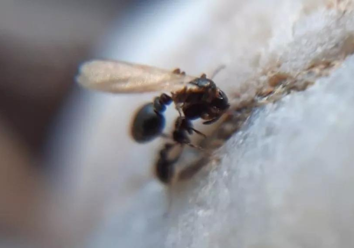 一分钟介绍使用“圣游大厅怎么买房卡”详细房卡怎么购买教程