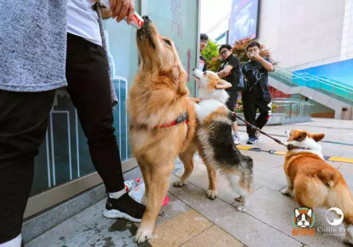 玩家测评“牛魔王牛牛房卡”房卡链接获取 玩家测评“牛魔王牛牛房卡”房卡链接获取