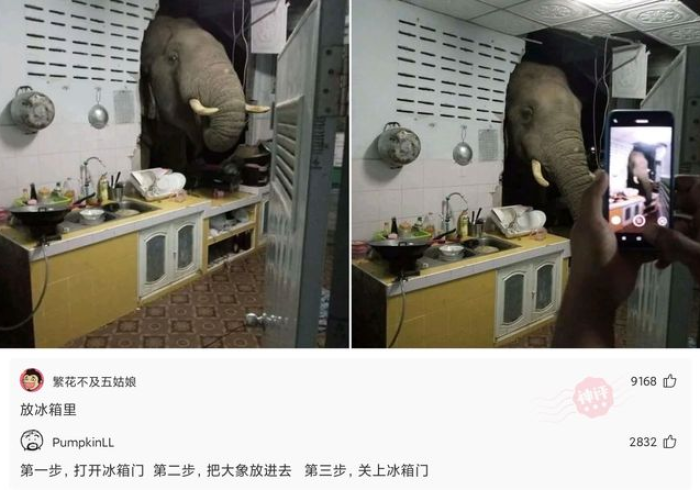 秒懂教程“微信怎么建房玩斗牛”房卡使用教程