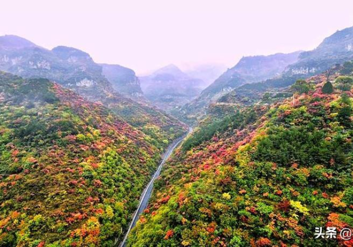 秒懂教程“新悠悠拼三张在哪里买房卡”获取房卡教程-哔哩哔哩 秒懂教程“新悠悠拼三张在哪里买房卡”获取房卡教程-哔哩哔哩