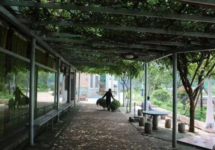 秒懂百科“微信链接炸 金花房卡怎么买”详细房卡怎么购买教程 秒懂百科“微信链接炸 金花房卡怎么买”详细房卡怎么购买教程