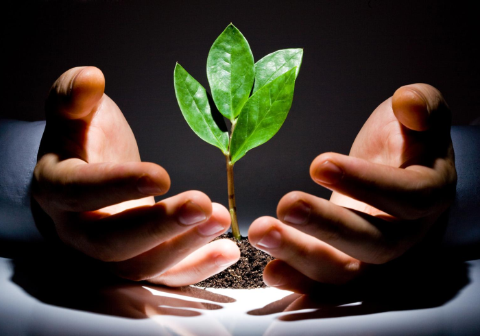 五分钟了解"琼州雀友哪里有挂买”-必赢神器安装 五分钟了解"琼州雀友哪里有挂买”-必赢神器安装