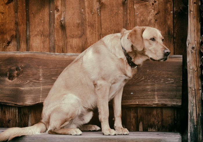 一分钟介绍使用“微信斗牛房卡找谁买”房卡使用教程