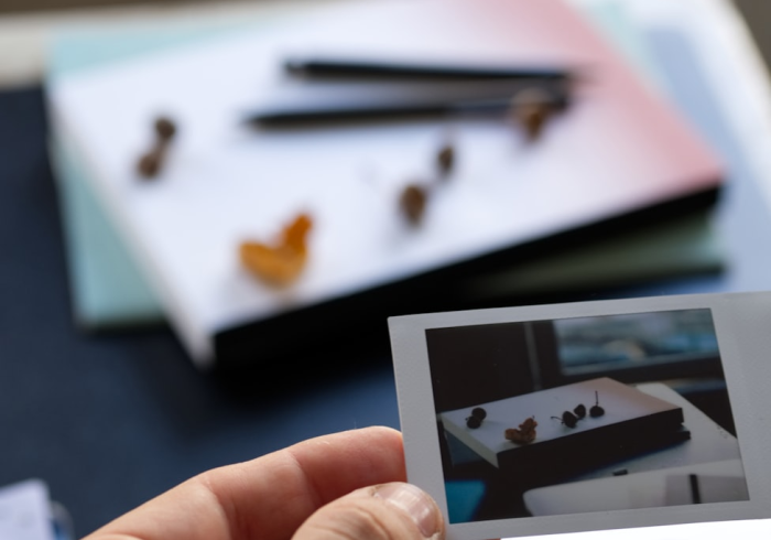 秒懂教程“新道游牛牛房卡”房卡详细充值 秒懂教程“新道游牛牛房卡”房卡详细充值