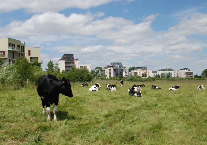 一分钟了解“微信链接牛牛房卡”房卡获取方式