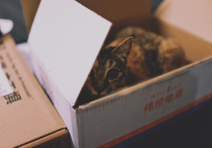 一分钟实测分享“微信牛牛房卡多少钱”房卡怎么购买