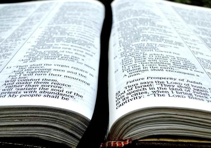 秒懂教程“微信牛牛房卡在哪买”房卡怎么购买 秒懂教程“微信牛牛房卡在哪买”房卡怎么购买