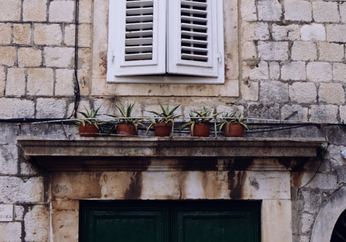 房卡必备教程“新道游大厅拼三张金花房卡”详细房卡怎么购买教程