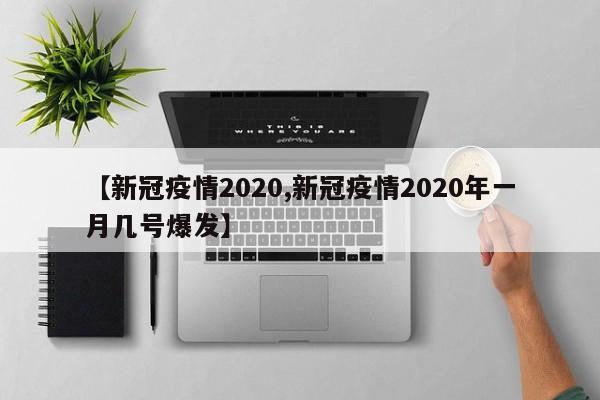 【新冠疫情2020,新冠疫情2020年一月几号爆发】